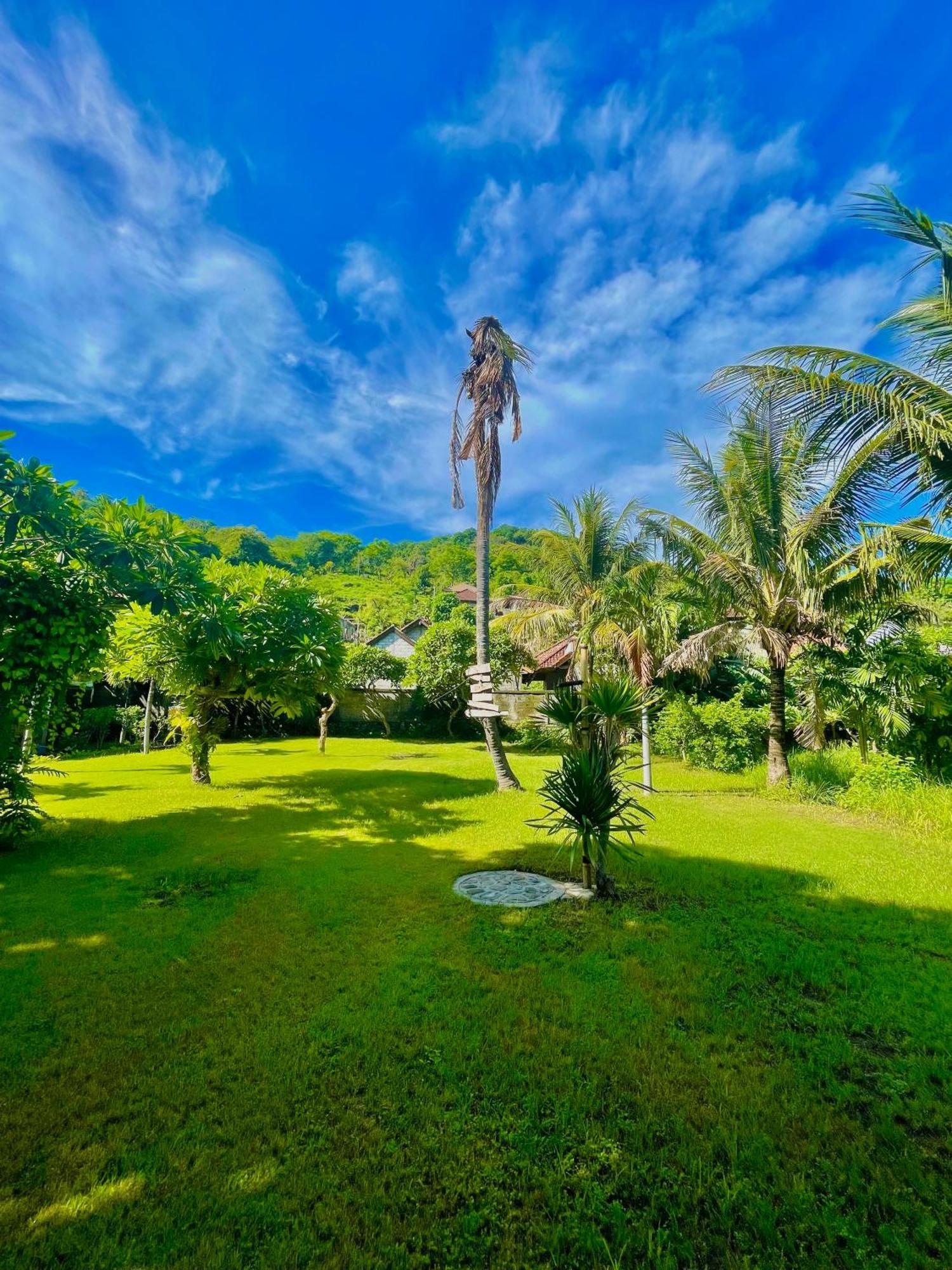 Green Coco House Амед Экстерьер фото