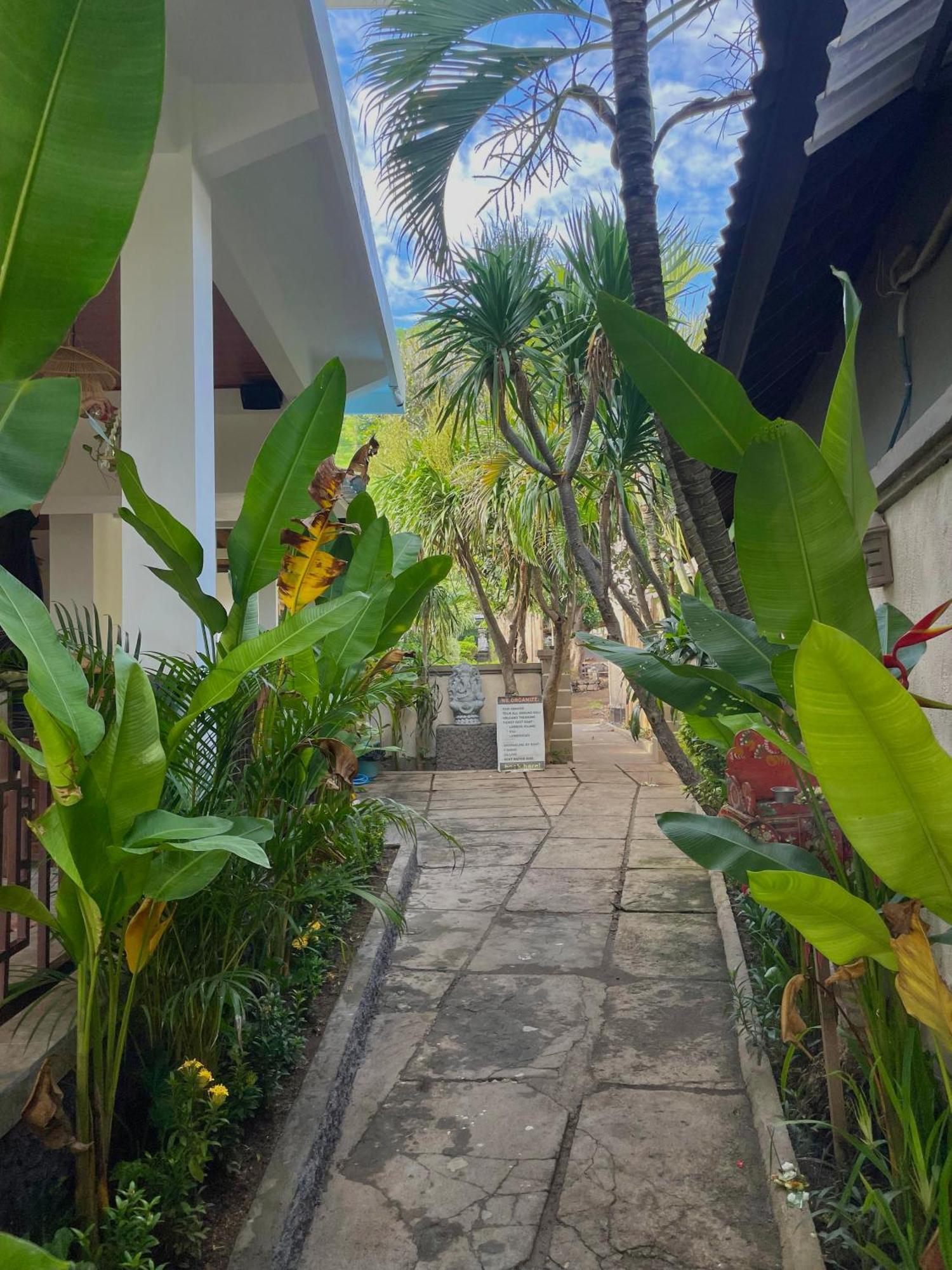 Green Coco House Амед Экстерьер фото